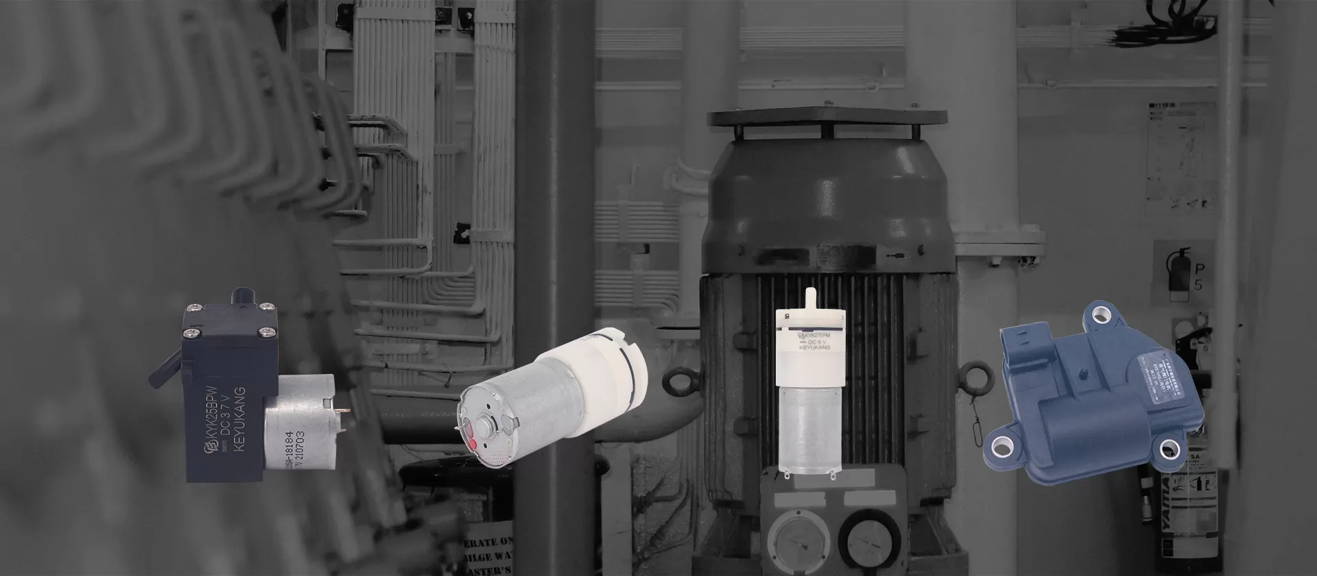 Professional Customized Services from the Source Factory