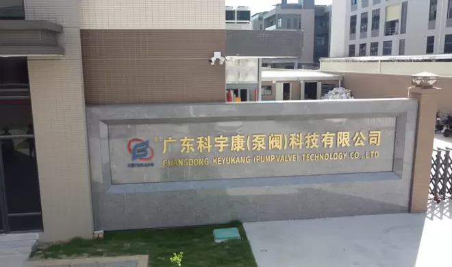 Micro Pump Supplier in China Keyukang Factory Overview
