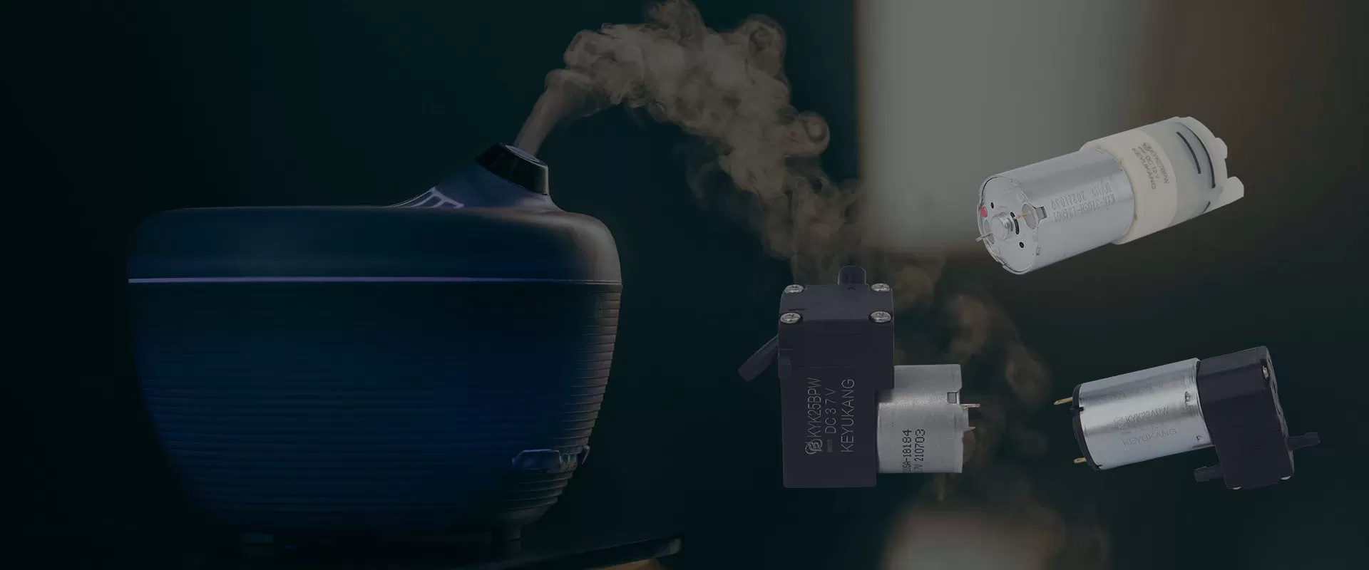 Micro Diaphragm Water Pump